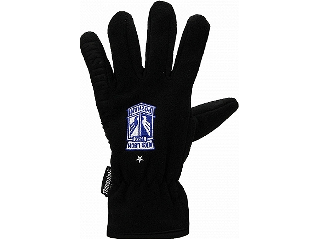 Lech Poznan gloves