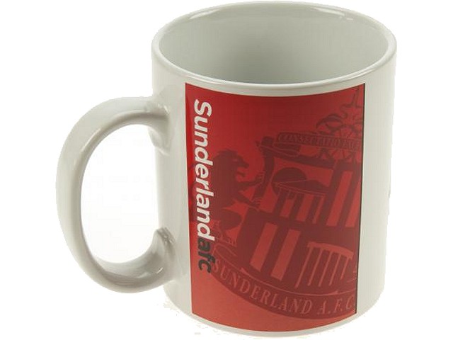 Sunderland FC big cup